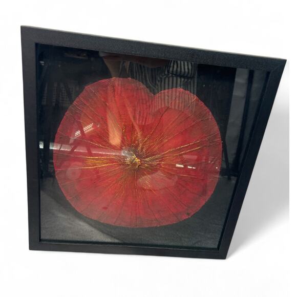 Uttermost Set of 2 Botanical Framed Shadow Box Wall Art Dried Lotus Flowers - Picture 3 of 10